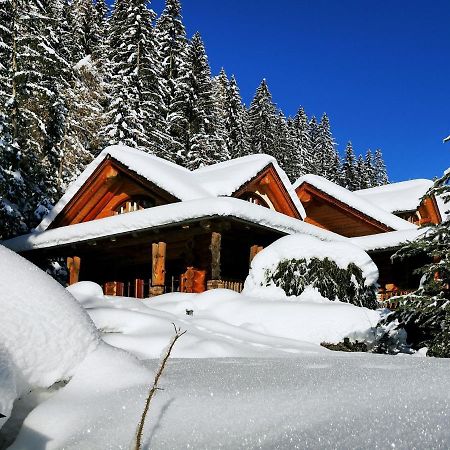 Chalet Caprea Bad Kleinkirchheim Buitenkant foto