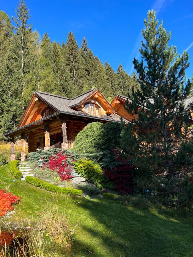 Chalet Caprea Bad Kleinkirchheim Buitenkant foto
